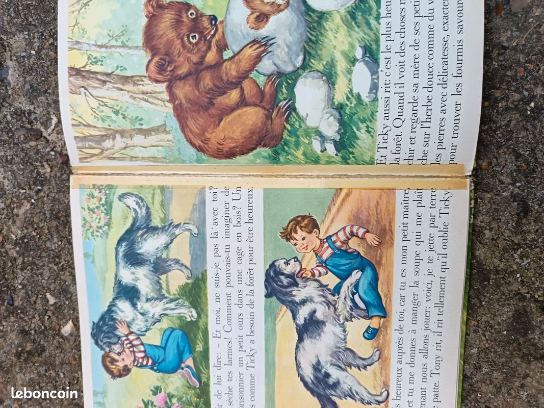 Maman ours et son petit (image 4)