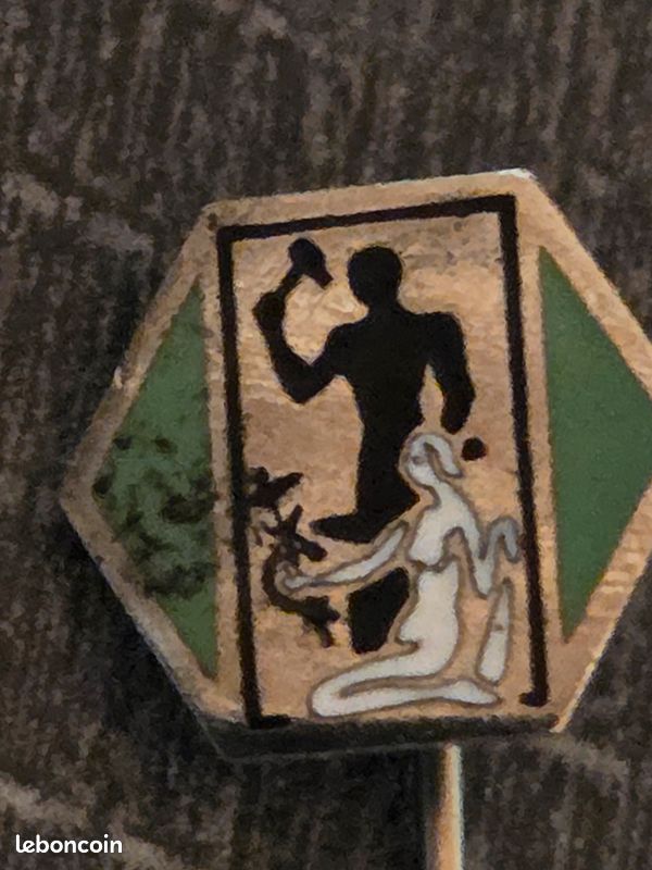 Epingle service Santé de l'armée SSA. Pour la catégorie des MESS (image 1)