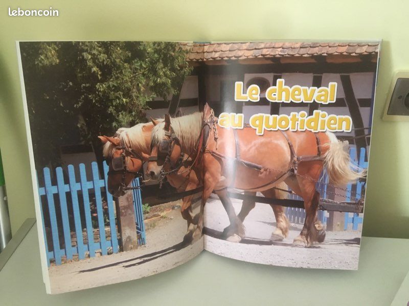 Livre sur les chevaux et poneys (image 4)