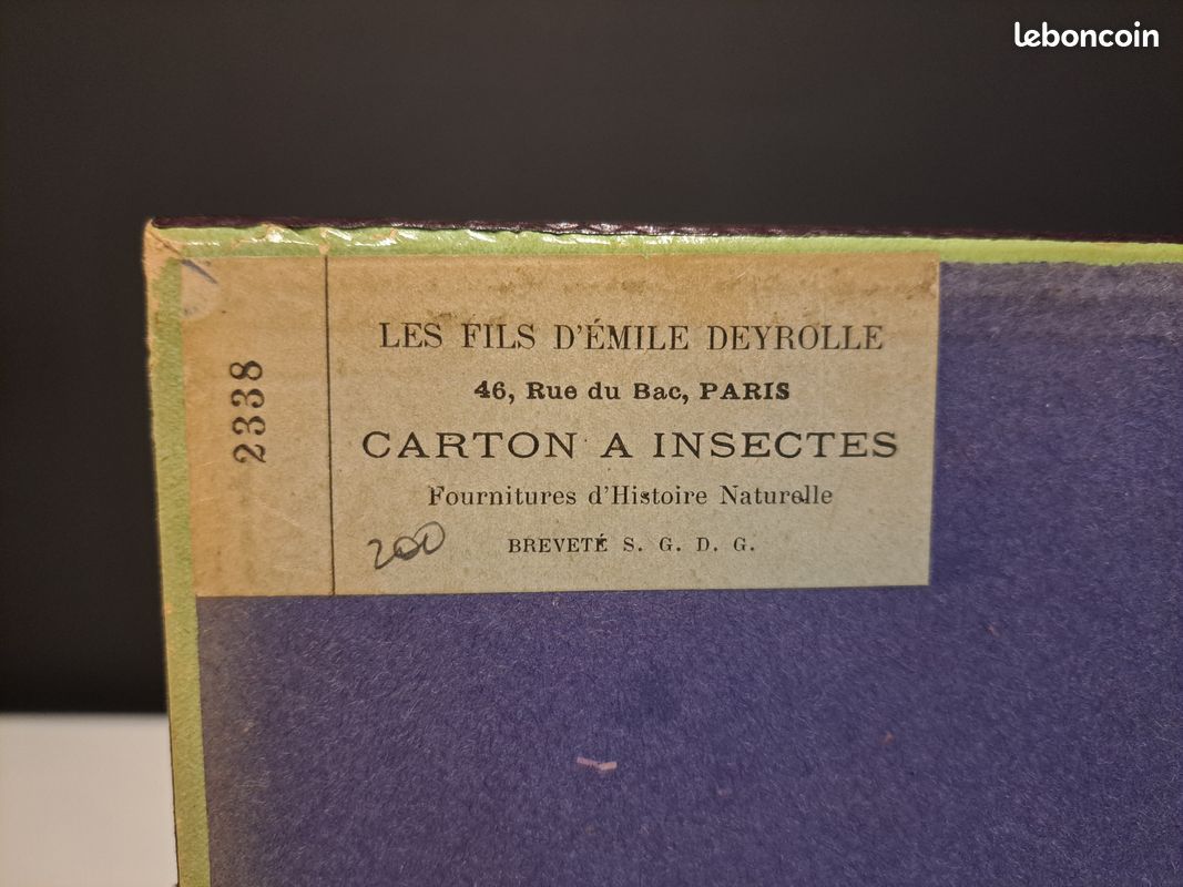 Boîte entomologique ancienne authentique de la maison Les Fils d’Émile Deyrolle, 46 rue du Bac, Paris (image 10)