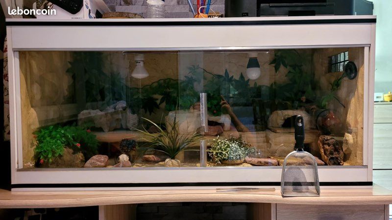 Terrarium (image 1)