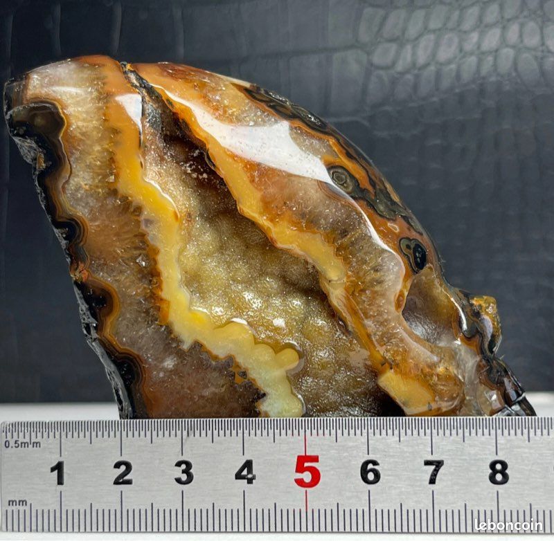 Citrouille d'agate folle naturelle de 2 '', crâne de citrouille sculpté