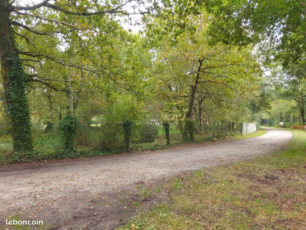 Maison entièrement rénovée, étang, dépendance entre forêt et océan