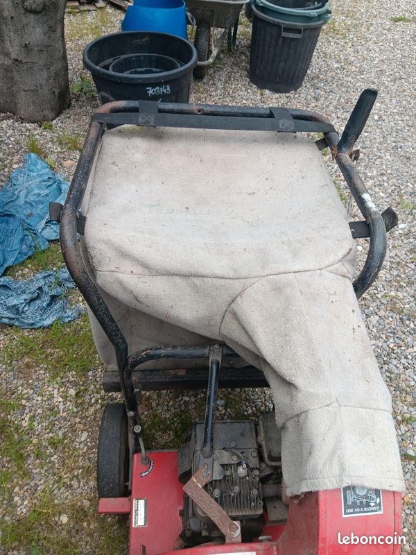 Aspirateur à feuilles (image 2)