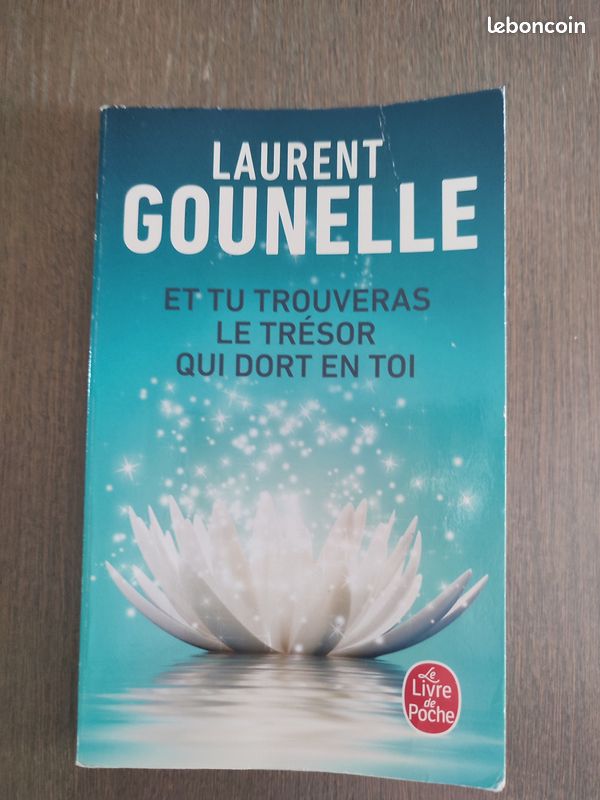 Et tu trouveras le trésor qui est en toi Laurent Gounelle (image 1)