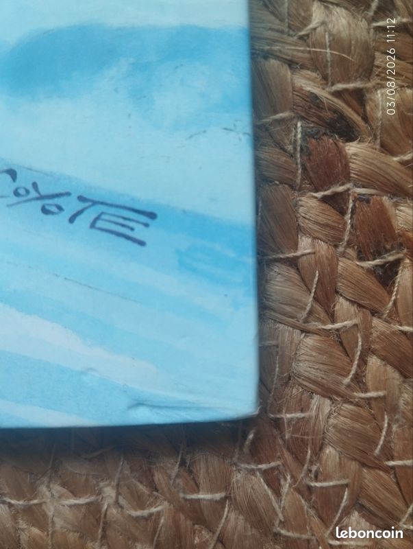 BD EO Litteul Kévin, T6, BE, Fluide glacial, Coyote (image 4)