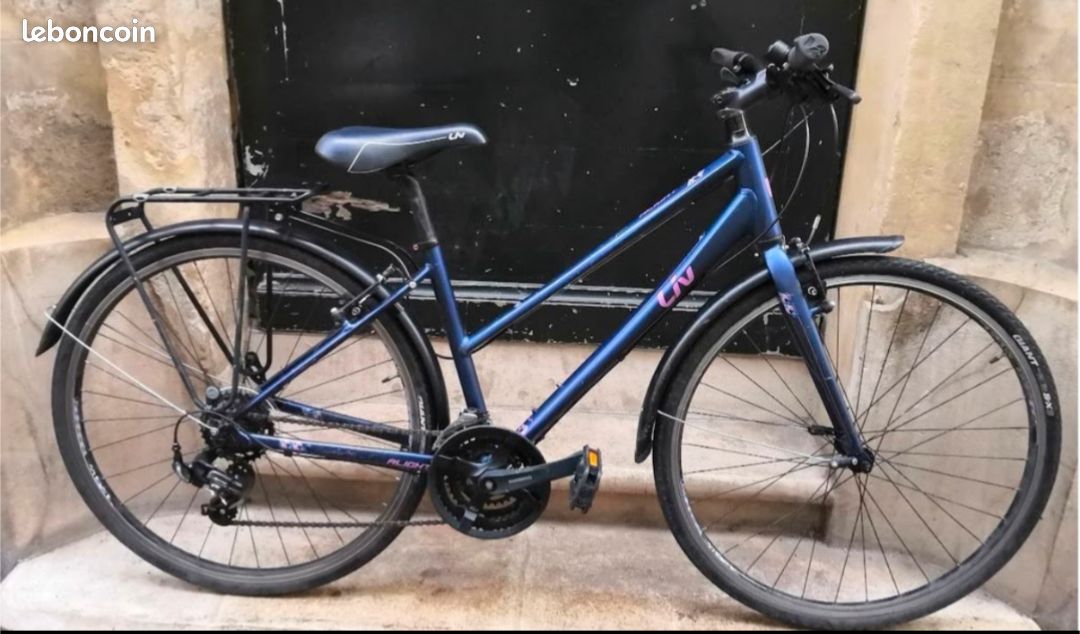 Velo femme Giant Liv S/M 21 vitesses (image 1)