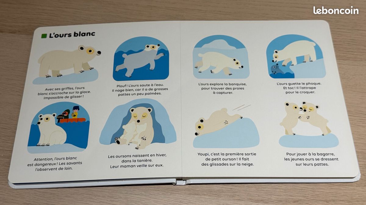 Milan - Les animaux du froid (image 7)