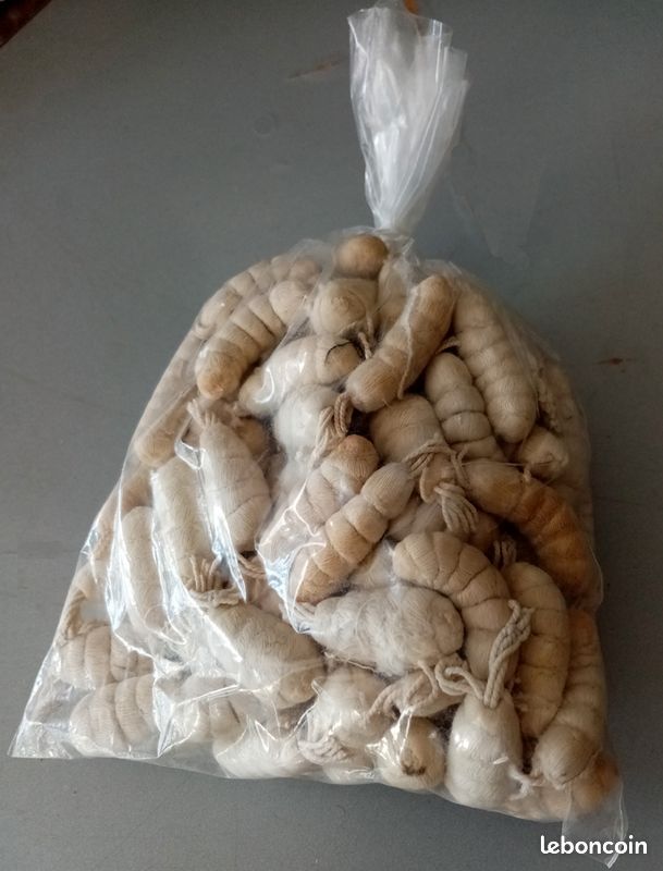 Pompons chenilles (image 1)