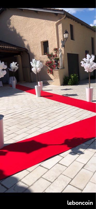 Tapis Rouge Moquette 1/10m avec film de protection transparent Mariage cérémonie Traiteur (image 2)
