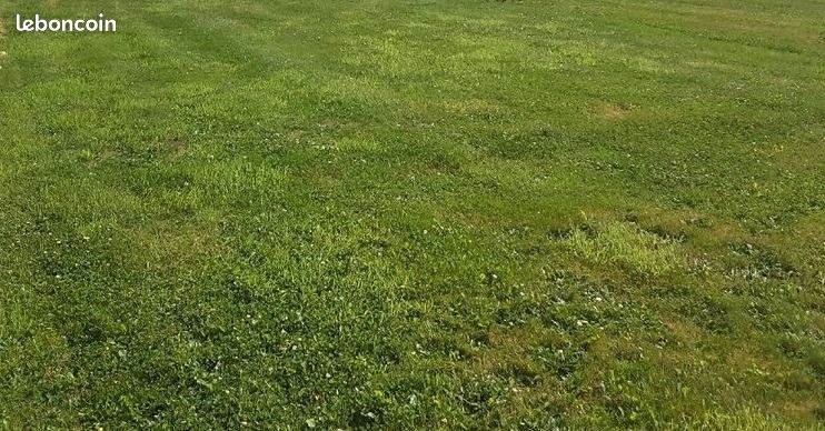 Terrain 990 m² Carrouges · 37 000 €
