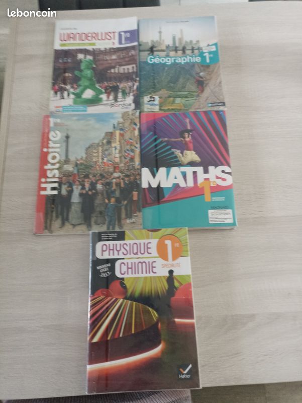 Vend manuel 1 ère spé scientifique lycée Jeanne Hachette (image 1)