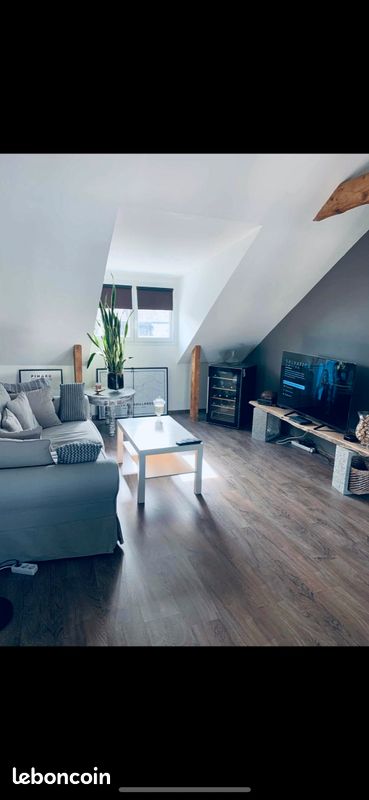 Appartement T2 - Brive-la-Gaillarde 19100 (image principale 0)