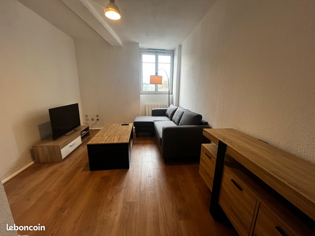 T2 rénové meublé 45 m2 avec terrasse - Vienne 38200 (image 2)
