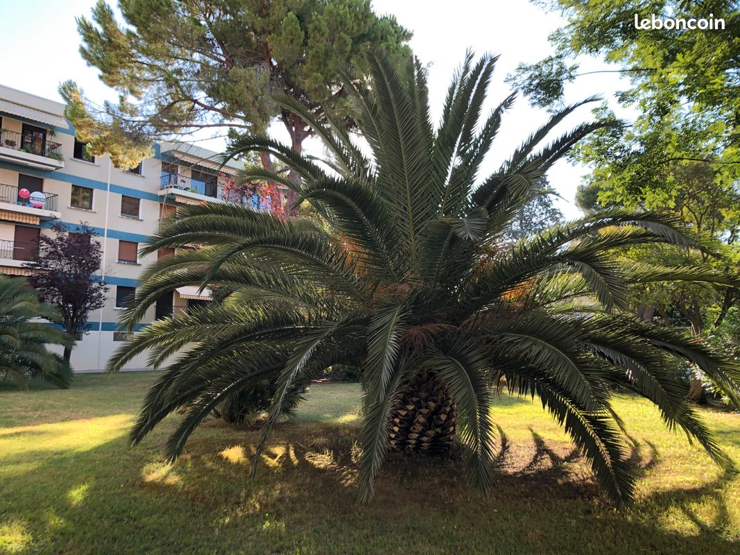 Appartement 6 pièces 112 m² · à Montpellier · 112 m² · 3 000 €/mois