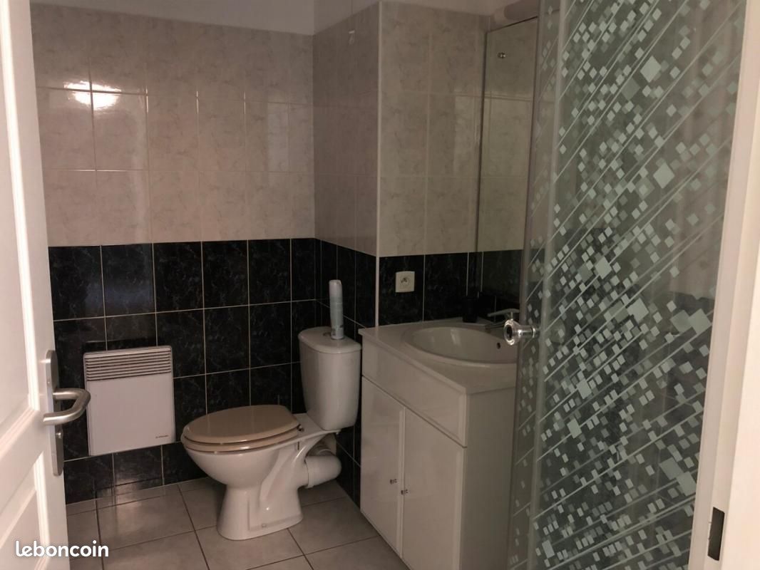 Appartement 1 pièce 32 m² - Brive-la-Gaillarde 19100 (image principale 4)