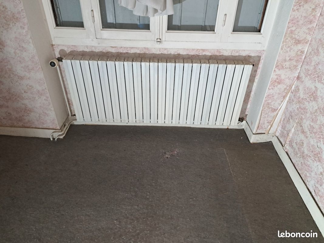 Chaudière gaz+radiateur (image 3)