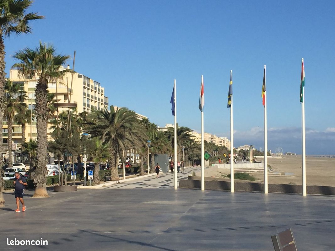 Canet plage, bel appartement taversant,front de mer (image 2)