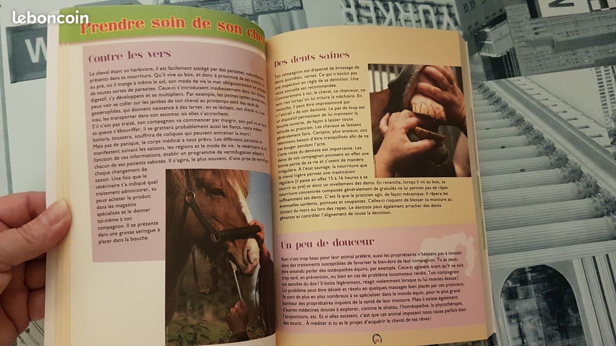 4 livres sur les chevaux: 1 malette remplie de fiches et 3 beaux livres, TBE (image 5)