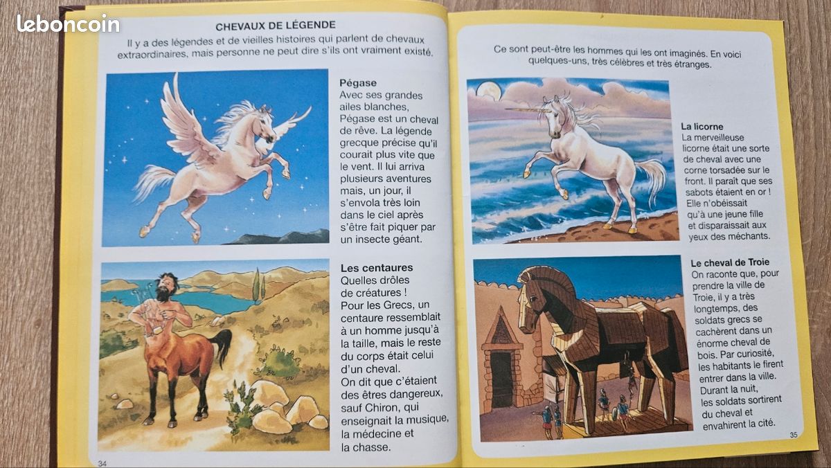 Livre "L'imagerie du poney et du cheval" (image 4)