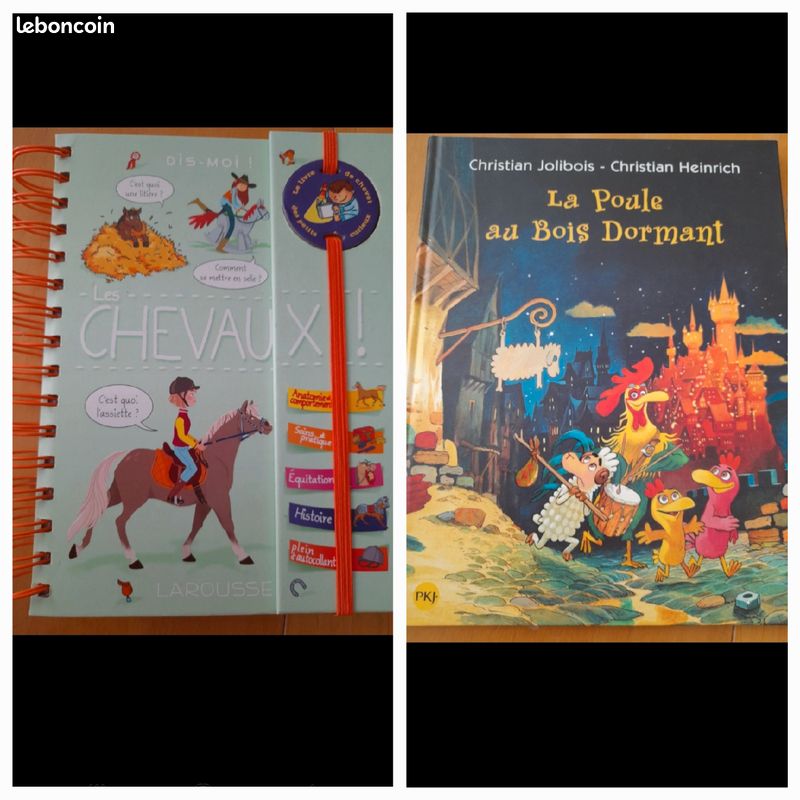 Livres jeunesse (image 7)