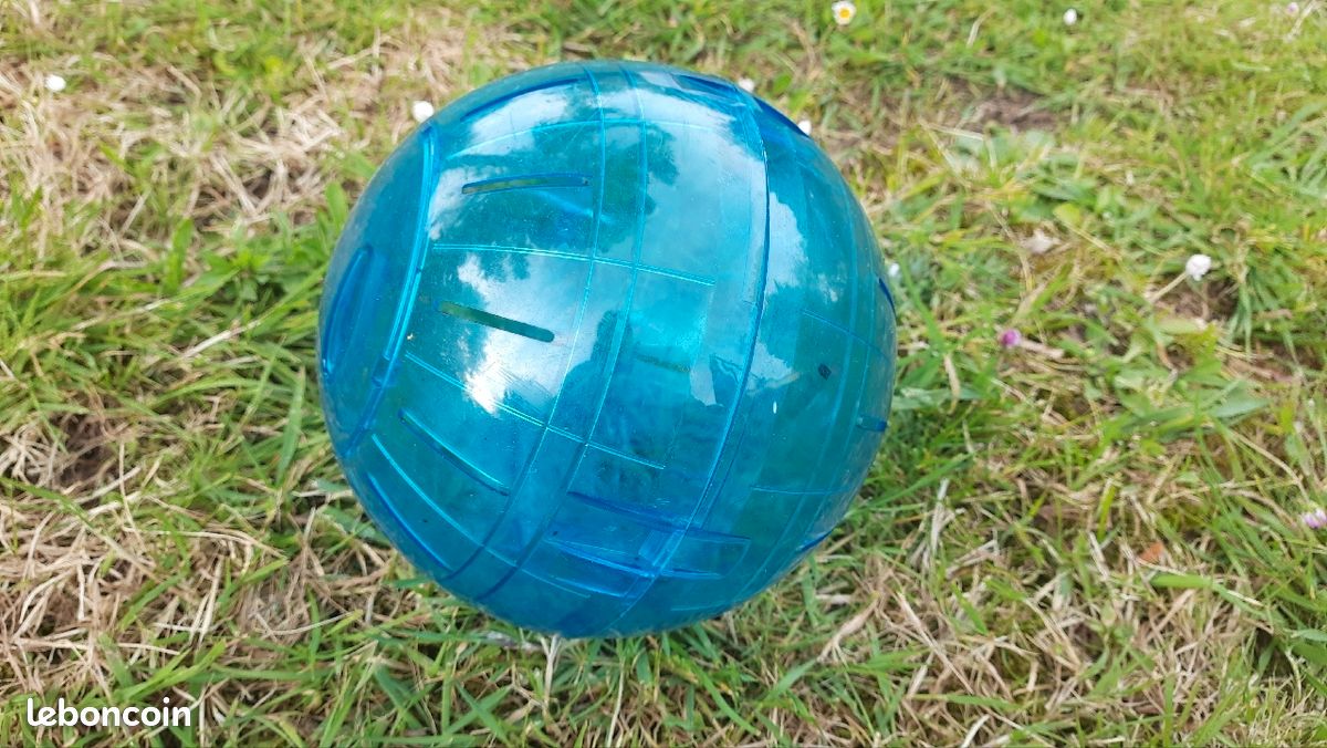 Boule pour hamster (image 1)