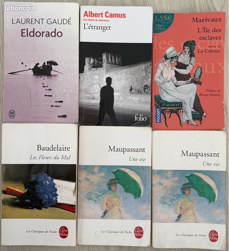 Livre bac de français (image 1)