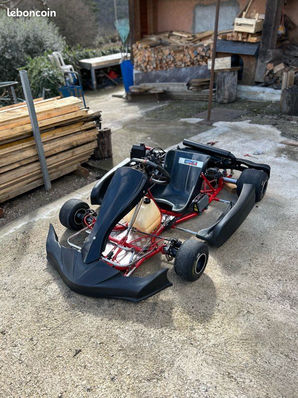 Karting rotax Max 125 (image 3)