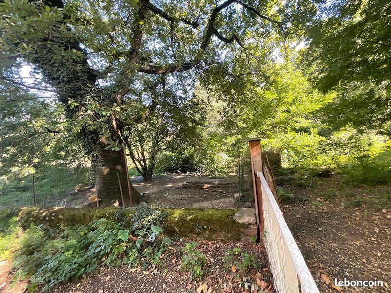 Propriété 32 pièces 380 m² (image 17)