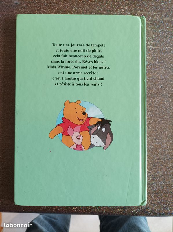 Winnie l'ourson et le jour de la tempête (image 2)
