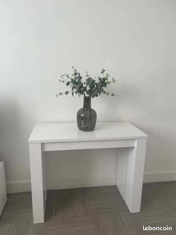 Table console extensible (image 11)