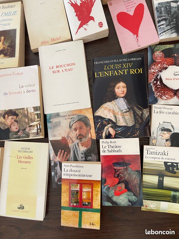 Lot de 60 livres de littérature format poche ou grand format tous auteurs lot ou unité (image 9)