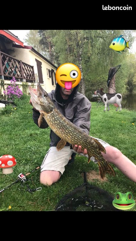 Petit coin de paradis au bord d'un étang privé (image 3)