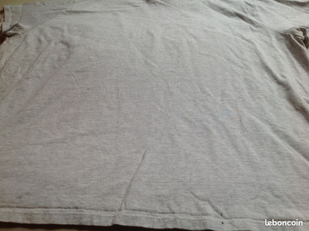 Tee-shirt Train insane or remain the same Envoi Possible (image 6)