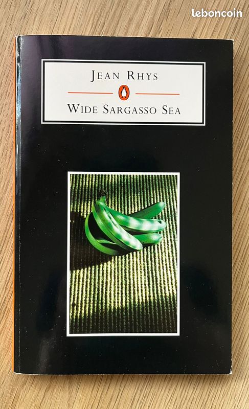 Livre "Wide Sargasso Sea" de Jean Rhys - ÉTAT NEUF (image 1)