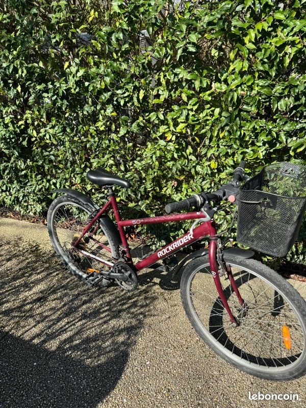 RAYONS VÉLO EN Acier Galvanisé Argenté 13G 213Mm Longueur 45 Acier