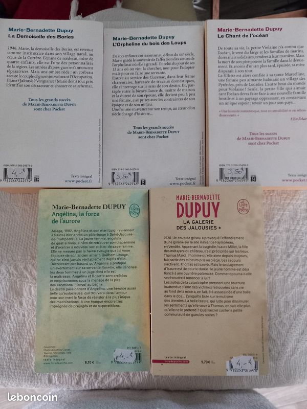 Roman de Marie Bernadette Dupuy (image 2)