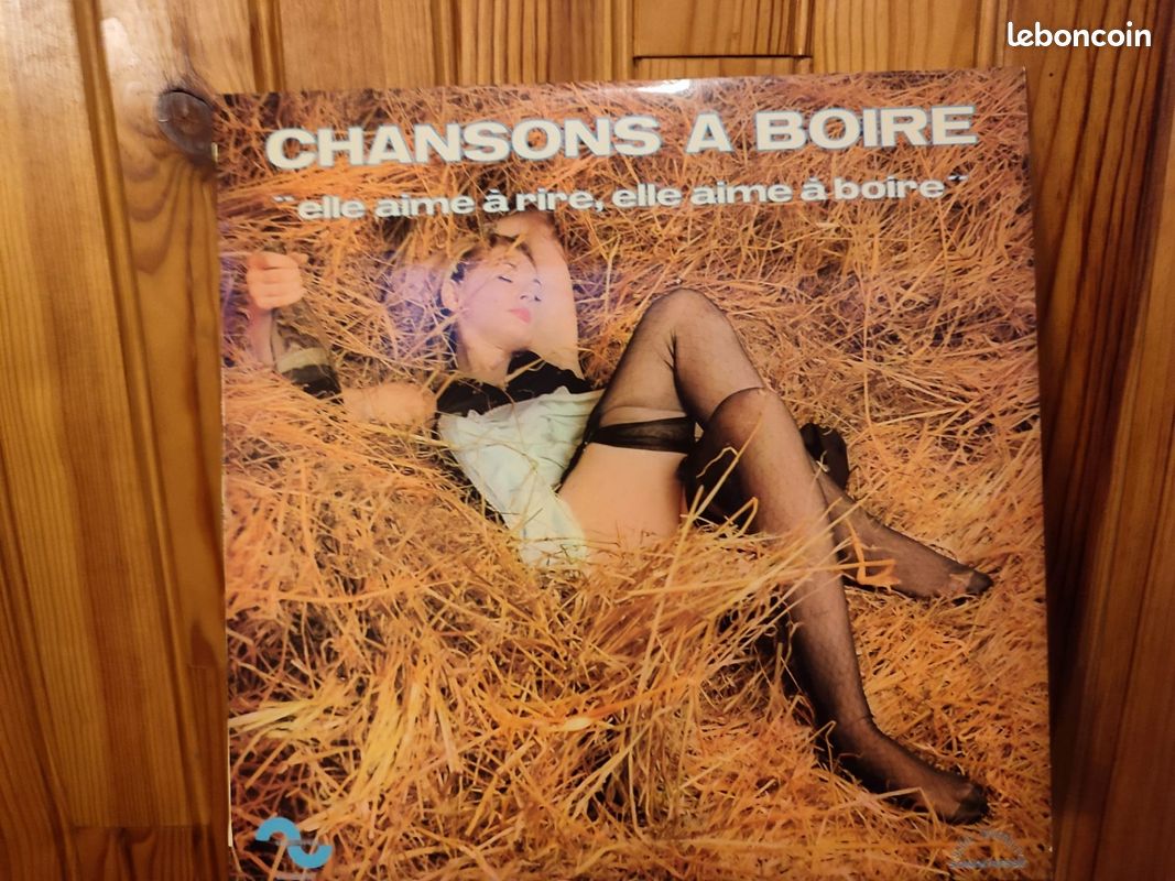 Lot de disques vinyles (image 20)