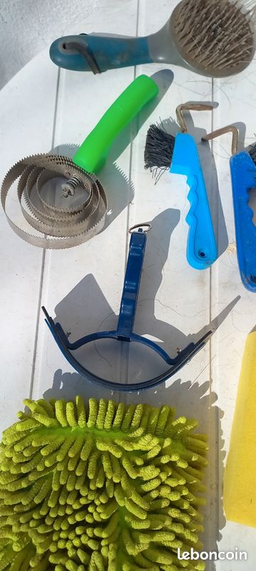 Coffret de toilettage de chevaux avec accessoires - Couleur