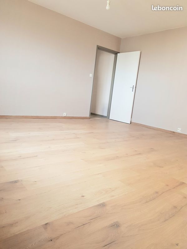 Appartement T2 bis 60m² Plateau de la Justice (image 4)