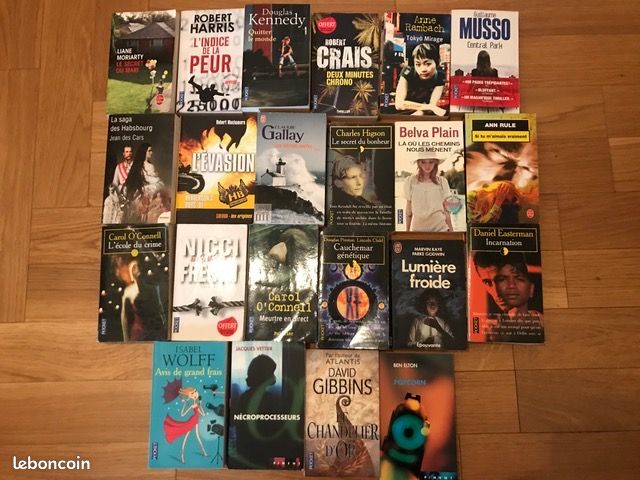 Livres policiers , romans , thrillers (image 1)