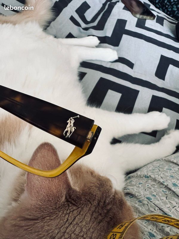 Lunettes de vue léopard Ralph Laurent (image 8)