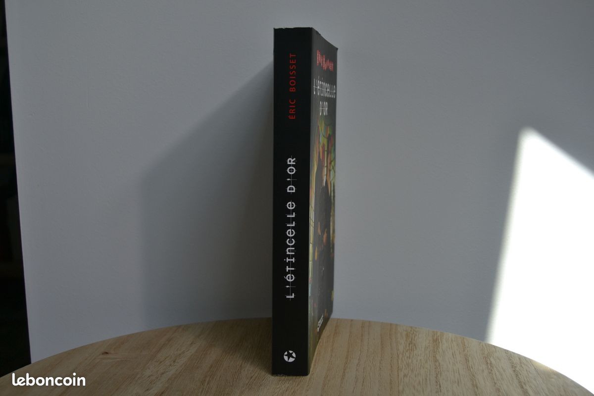 Livre L'étincelle d'or (image 4)