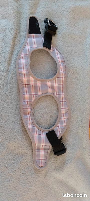 Harnais pour chien petite taille neuf (image 1)