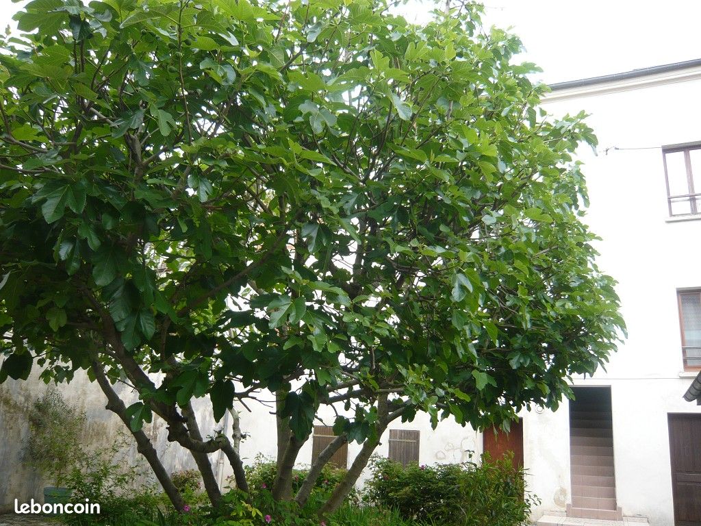Appartement 3 pièces 53 m² · à Méry-sur-Oise · 53 m² · 164 000 €
