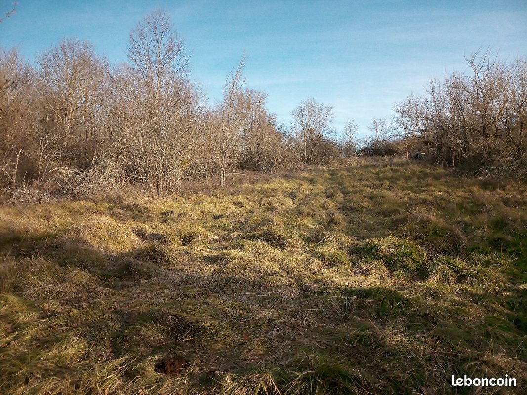 Terrain de loisirs · à Daumazan-sur-Arize · 17 000 €