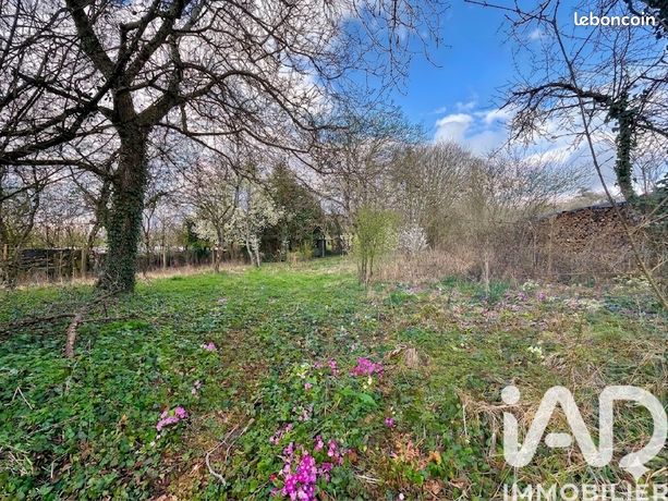 Maison à vendre et vente appartement Mouzon (08210) - leboncoin