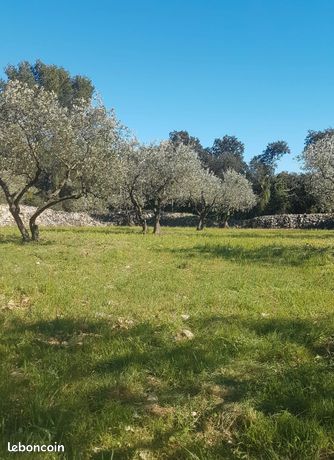 Terrain loisirs garrigue