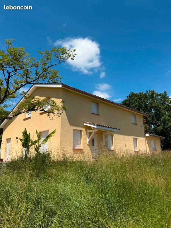 Maison 7 pièces 196 m² · à Moissac · 196 m² · 250 000 €