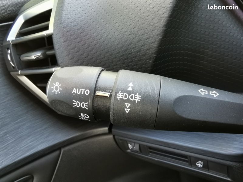 Citroën C5 X Shine 1.2 130 ch BVA8 Régulateur/Limiteur Feux aut (image 15)